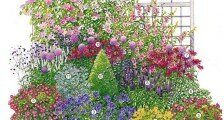 миксбордер своими руками